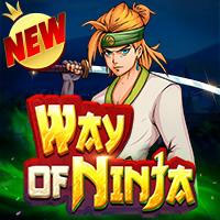 SWay of Ninja